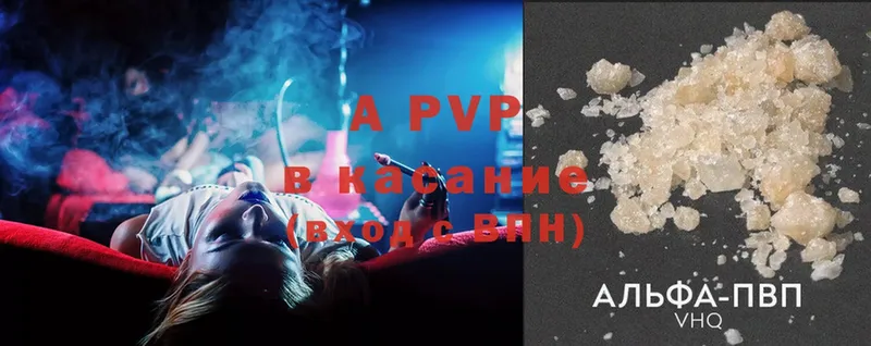 A PVP СК  Кадников 